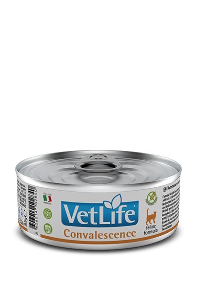 Farmina Vet Life Feline Convalescence 85g Farmina