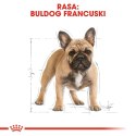 ROYAL CANIN French Bulldog Adult 3kg Royal Canin