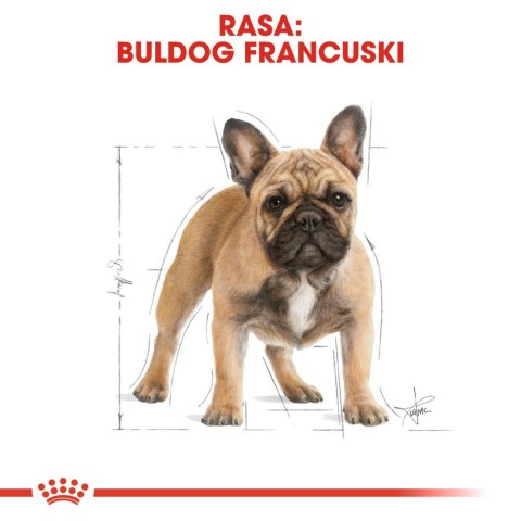 ROYAL CANIN French Bulldog Adult 3kg Royal Canin